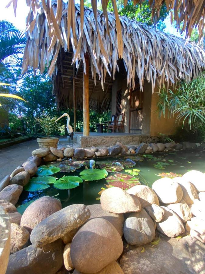 Private Organic House Udawalawe Exterior foto