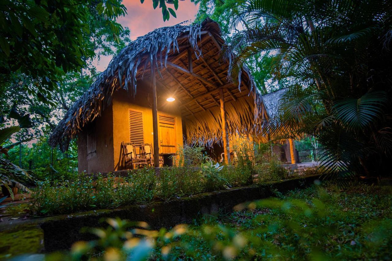 Private Organic House Udawalawe Exterior foto